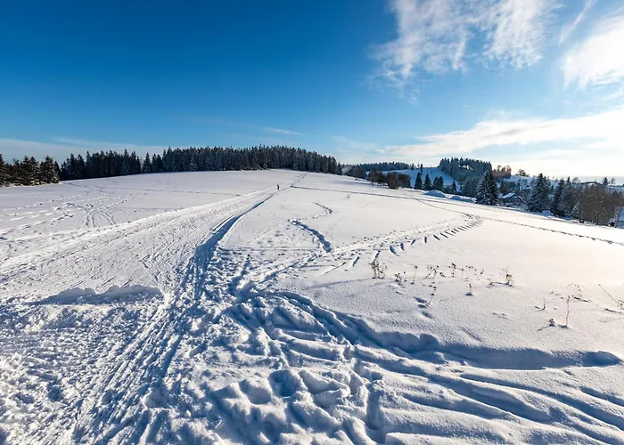 Jizera Mountains 4human ヤノフ・ナト・ニソウ