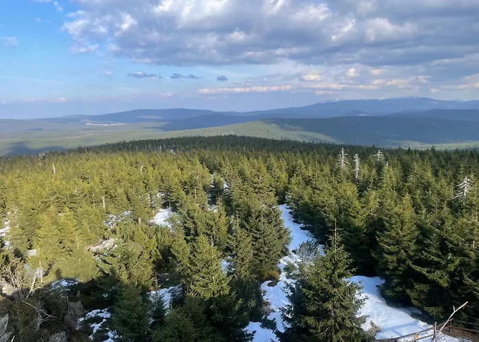 Jizera Mountains 4human ヤノフ・ナト・ニソウ